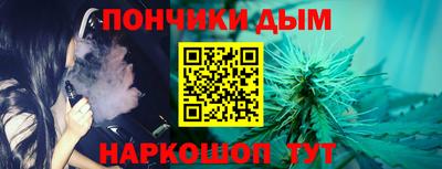 крисы Ирбит
