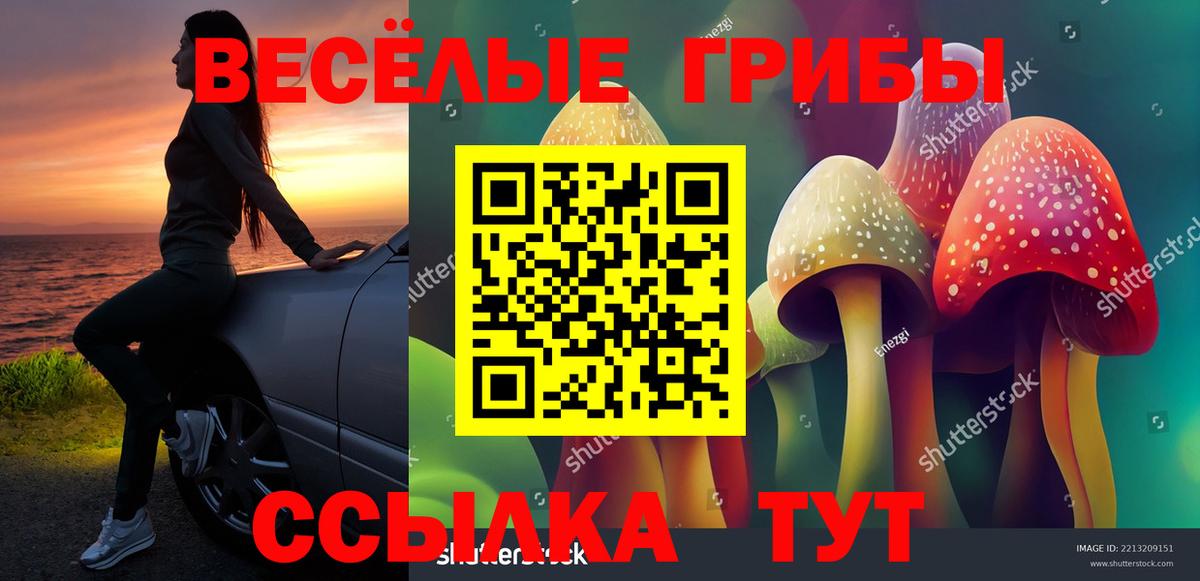 Псилоцибиновые грибы ЛСД  Псилоцибиновые грибы мухоморы  Курчатов  Вход с VPN 